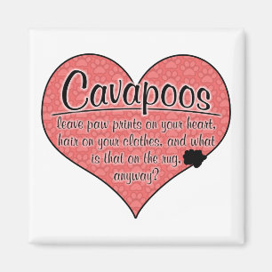 Cavapoo Paw Prints Dog Humour Magnet
