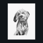 Cavapoo Postcard – Charcoal Dog Illustration<br><div class="desc">A small piece of art that carries softness and meaning. This Cavapoo postcard captures the gentle expression and loving nature of the breed in a simple charcoal design. Perfect for sending a thoughtful message or keeping as a collectible piece of dog art. Why it works: Original charcoal hand-drawn Cavapoo illustration...</div>