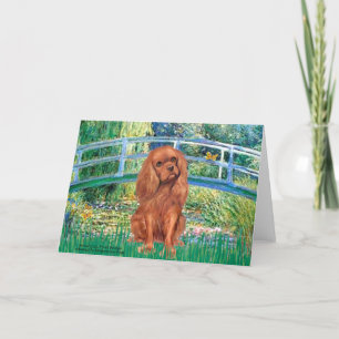 Cavavlier (Ruby7) - Bridge Card