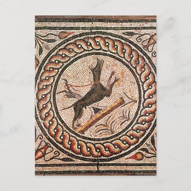 Cave Canem  2nd-3rd century Postcard (Front)