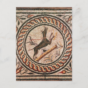 Cave Canem 2nd-3rd century Postcard