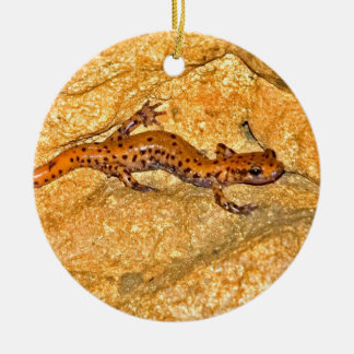Cave Salamander Ceramic Ornament