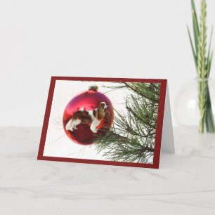 Cavelier King Charles Spaniel ChristmasCard Ball Holiday Card