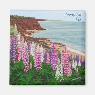 Cavendish Cliffs and Spring Lupins Square Magnet