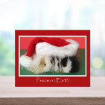 Cavy Christmas Guinea Pig Post Card<br><div class="desc">Christmas is a time to send a lovely greeting to all your guinea pig friends.  This great postcard will put some cheer in their holiday.  Copyright Cool Cavy Guinea Pig Shop</div>