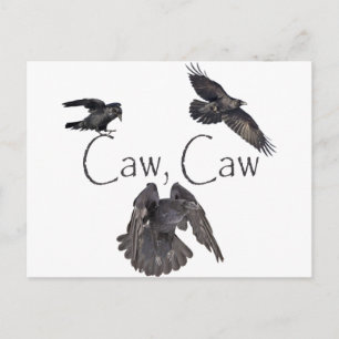 Caw Caw Postcard