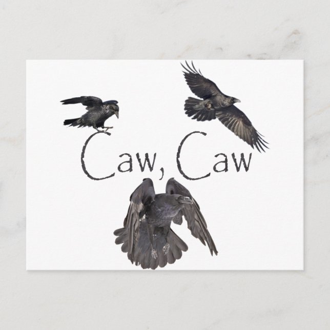 Caw Caw Postcard (Front)