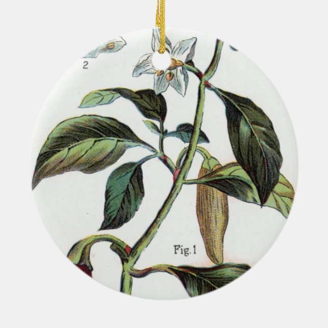 cayenne pepper Flower Ceramic Tree Decoration (Back)