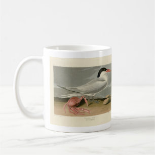 Cayenne (Royal) Tern - Audubon's Birds of America Coffee Mug