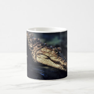 Cayman crocodile mug