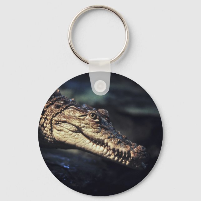cayman crocodile photo key ring (Front)