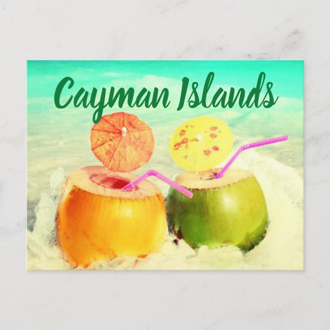 Cayman Islands coconuts Postcard (Front)