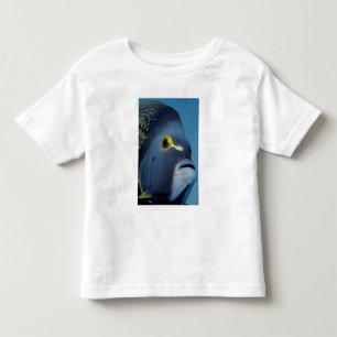 Cayman Islands, French Angelfish Pomacanthus Toddler T-Shirt