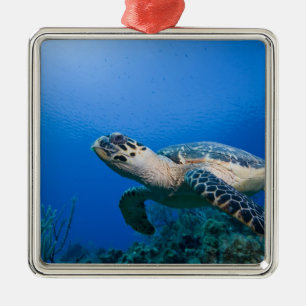 Cayman Islands, Little Cayman Island, Underwater 2 Metal Ornament