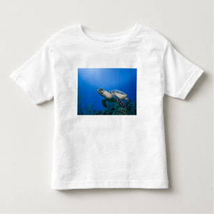 Cayman Islands, Little Cayman Island, Underwater 2 Toddler T-Shirt