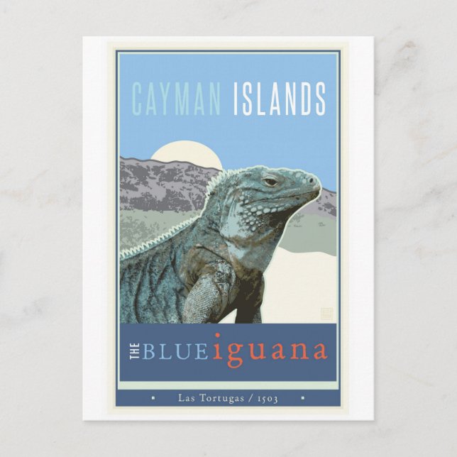 Cayman Islands Postcard (Front)
