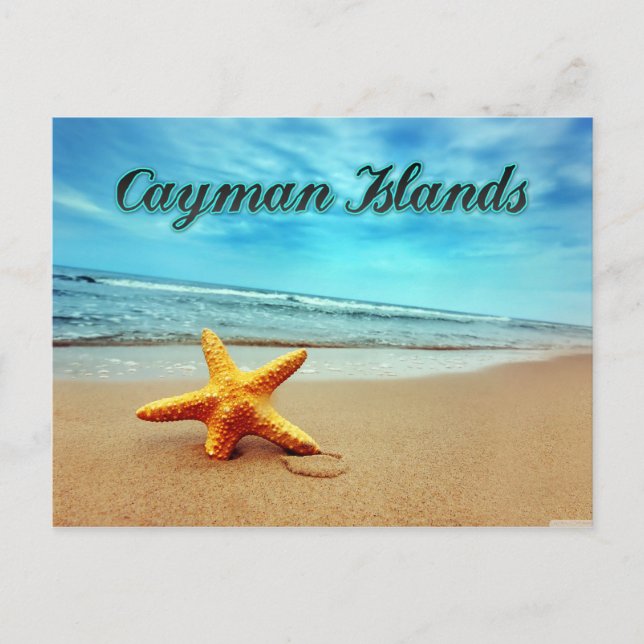 Cayman Islands starfish Postcard (Front)