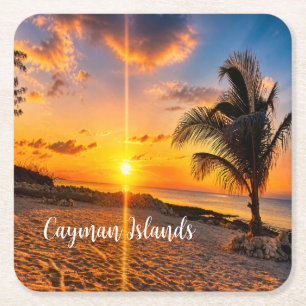 Cayman Islands Sunset Palm Coaster