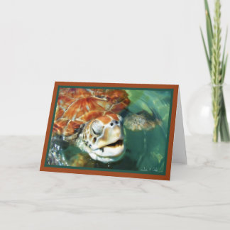 Cayman Turtle Card
