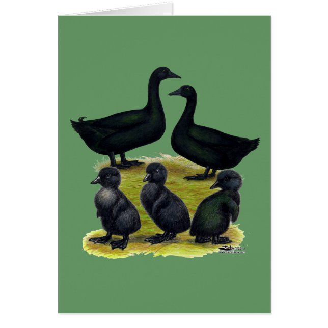 Cayuga Duck Family (Front)
