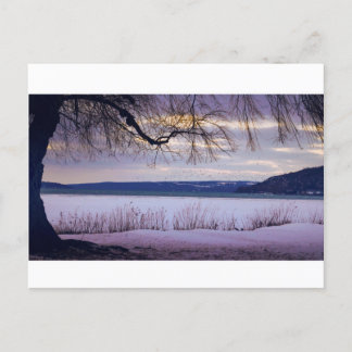 Cayuga Lake / Ithaca Postcard