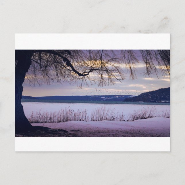 Cayuga Lake / Ithaca Postcard (Front)