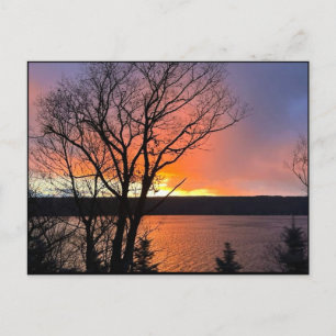 CAYUGA LAKE POSTCARD