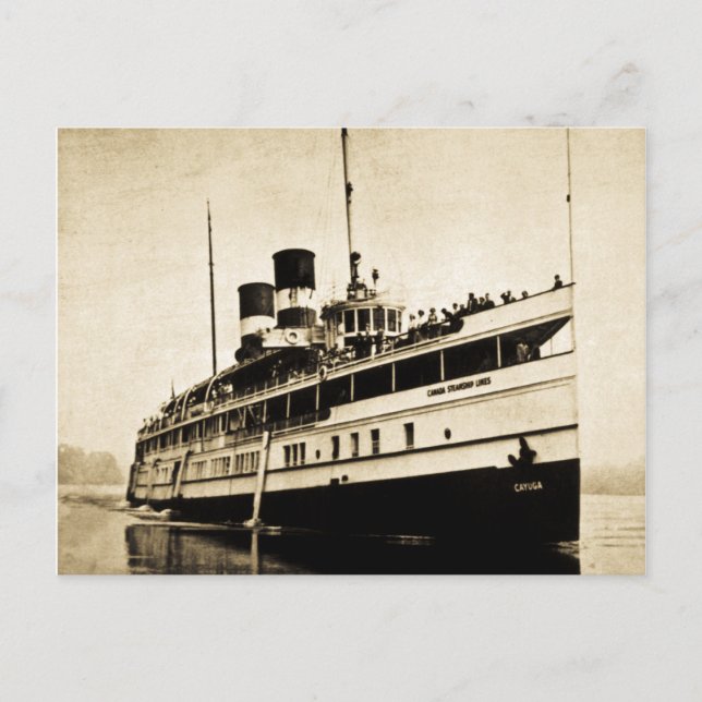 Cayuga Passenger Steamer - Canada Steamship Lines Postcard (Front)
