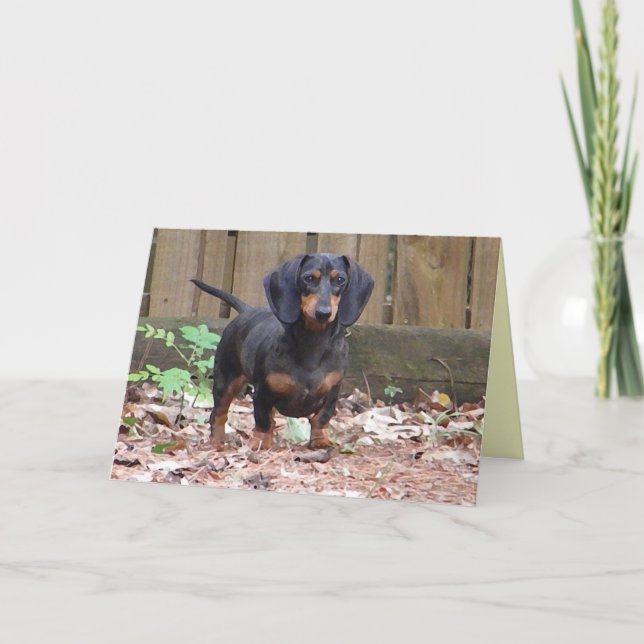 CC - 'We miss you' dachshund card (Front)