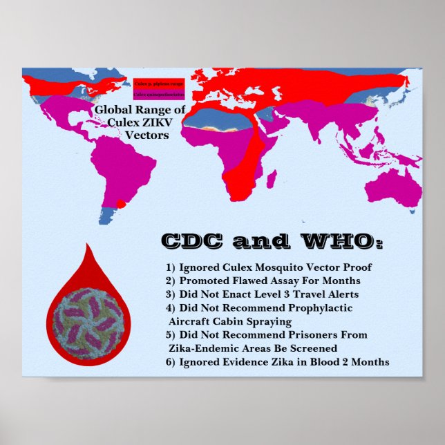 CDC & WHO Failed to Protect Citizens by RoseWrites Poster (Front)