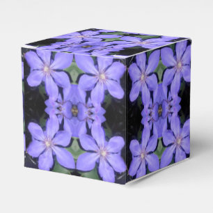 Césarine Favour Box