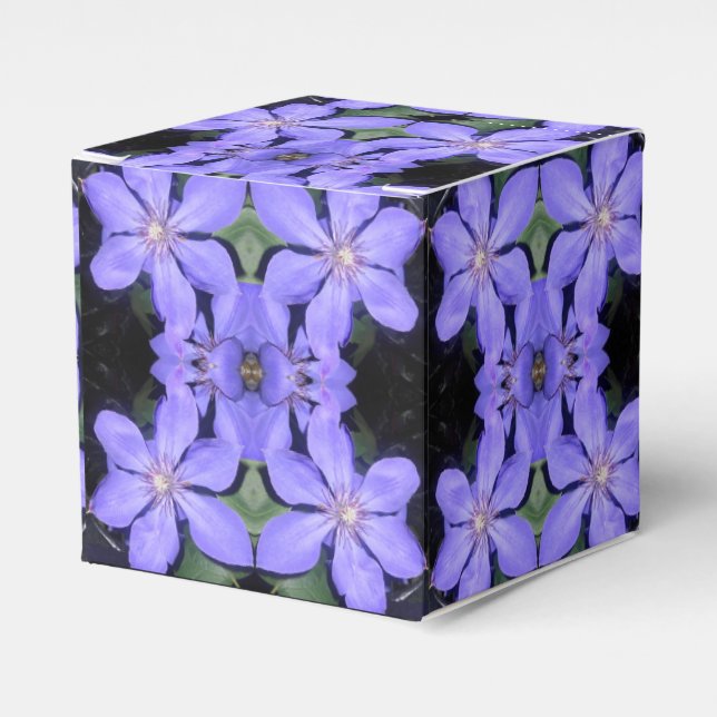 Césarine Favour Box (Front Side)