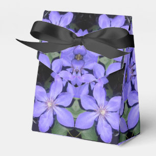 Césarine Favour Box