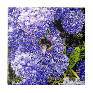 Ceanothus Flower Bee Tile
