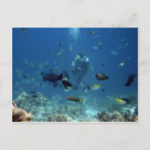 Cebu Diving.jpg Postcard