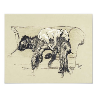 Cecil Aldin 1902 "Lazy Dogs Sleeping on Couch" Photo Print
