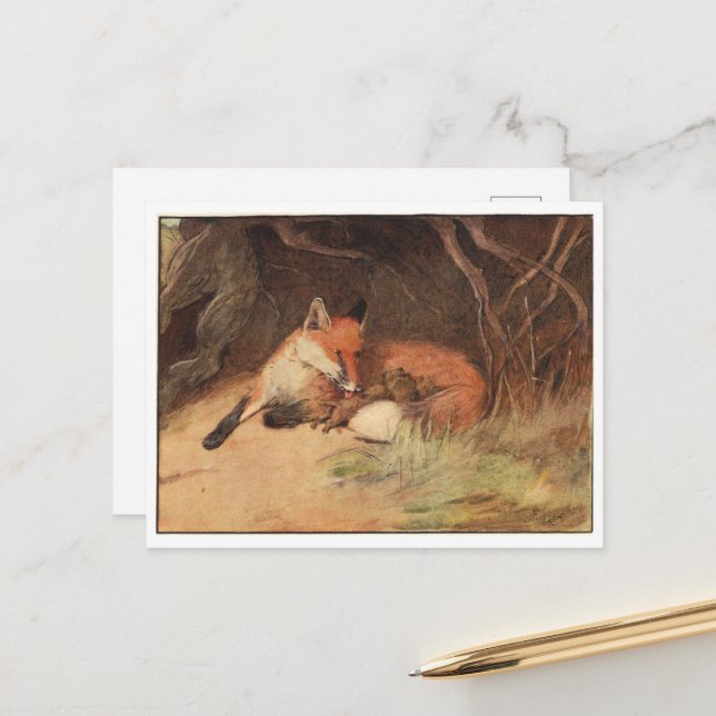 Cecil Aldin Postcards (Front/Back In Situ)