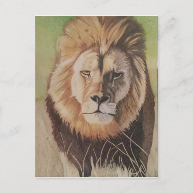 Cecil the Lion Postcard (Front)
