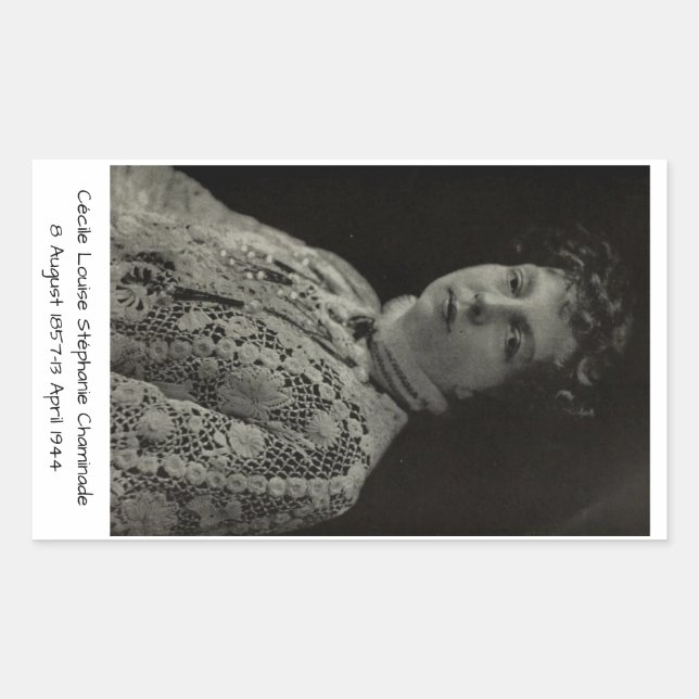 Cécile Louise Stéphanie Chaminade Rectangular Sticker (Front)
