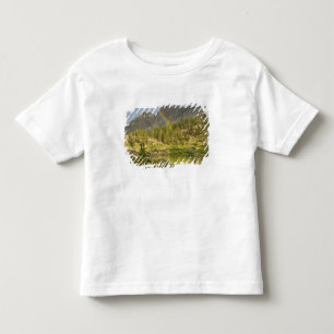 Cecret Lake with rainbow over Devil's Castle, Toddler T-Shirt
