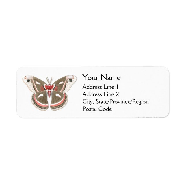 Cecropia Moth Address Labels (Front)