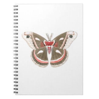 Cecropia Moth Notebook