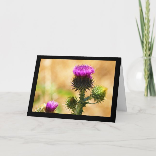 CEDA - IDAHO THISSLE - BLANK CARD (Front)