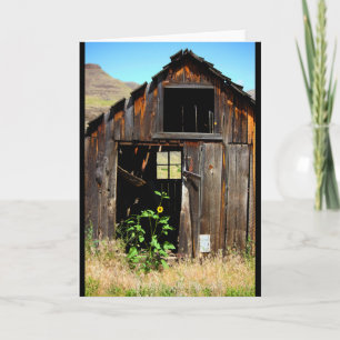 CEDA - SHED - BLANK CARD