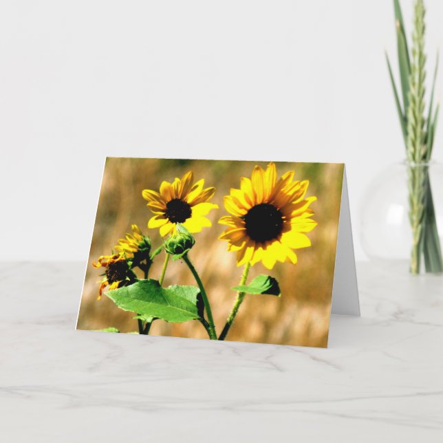 CEDA - SUNFLOWER - BLANK CARD (Front)