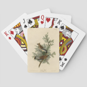 Cedar Bird, Cedar Waxwing Audubon Birds of America Playing Cards