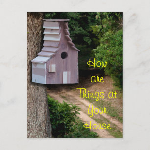 Cedar Birdhouse on a tree postcard- customise Postcard
