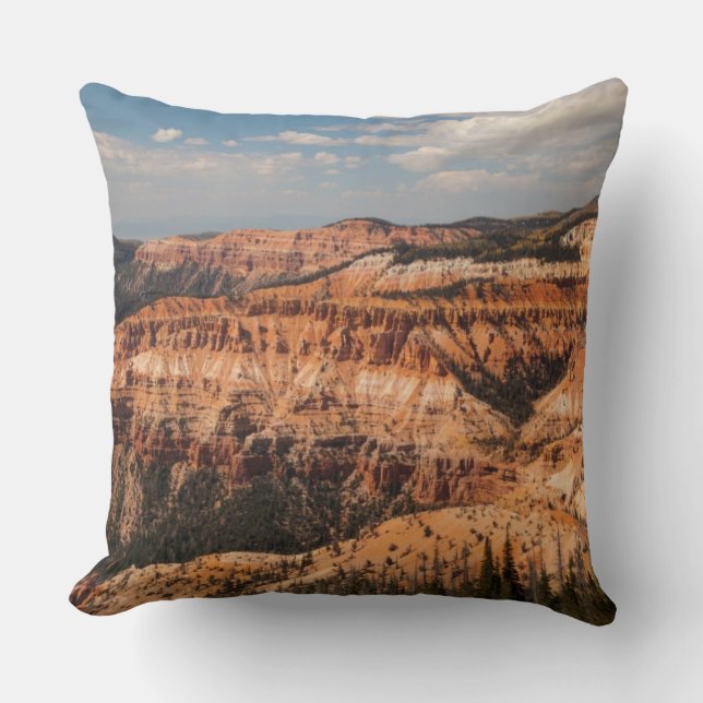 Cedar Breaks National Monument, Utah Cushion (Front)