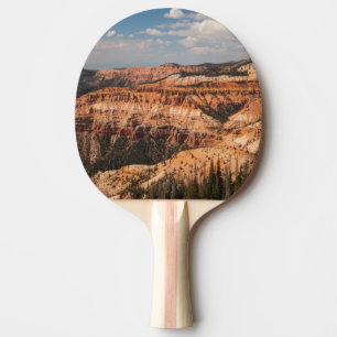 Cedar Breaks National Monument, Utah Ping Pong Paddle