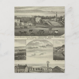 Cedar Grove Stock Farm and Roberts Ranch, Kansas Postcard